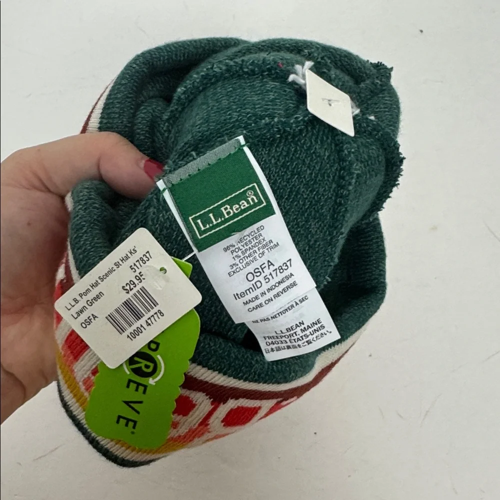 L.L. Bean NWT Scenic Knit Beanie Pom Hat Trees Rainbow Stripe - Picture 3 of 6